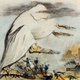 Cholera “Tramples the victors & the vanquished both.” Robert Seymour, 1831. Image: U.S. National Library of Medicine.